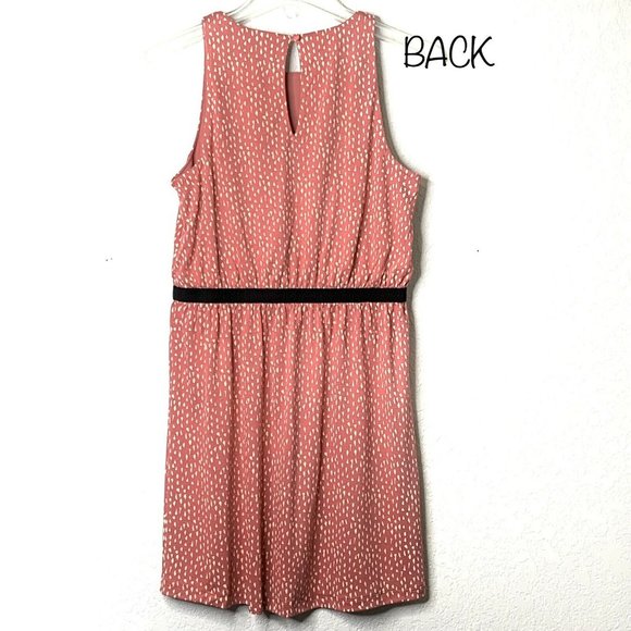 NWT Women AnnTaylor Loft MP Sleeveless Dress - Picture 4 of 7